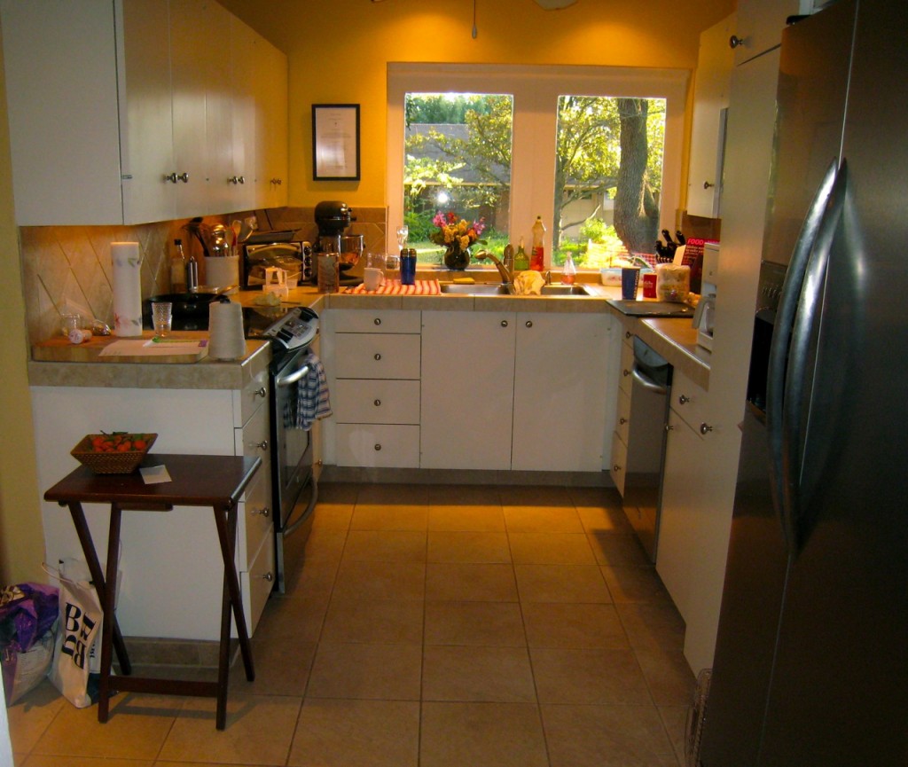 Our Kitchen in 2007